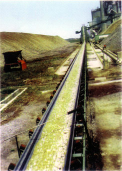 DT���͹̶�ʽ��ʽ���ͻ�